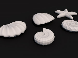 seashells 3D Модель