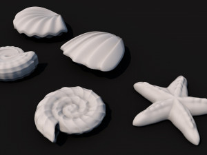 seashells 3D Модель