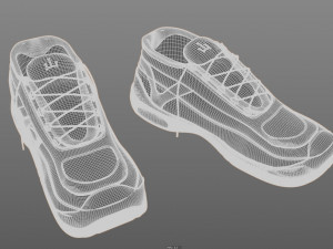 seashells 3D Модель