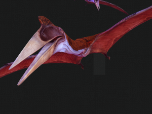 DOWNLOAD QUETZALCOATLUS 3D MODEL ANIMATED DINOSAUR DINOSAUR BIRD TERROR RAPTOR PREDATOR SKY 3D Model