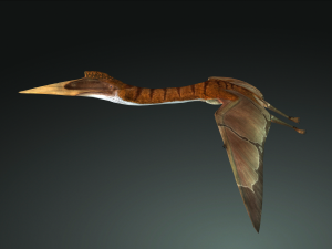 DOWNLOAD QUETZALCOATLUS 3D MODEL ANIMATED DINOSAUR DINOSAUR BIRD TERROR RAPTOR PREDATOR SKY 3D Model