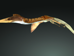 DOWNLOAD QUETZALCOATLUS 3D MODEL ANIMATED DINOSAUR DINOSAUR BIRD TERROR RAPTOR PREDATOR SKY 3D Model