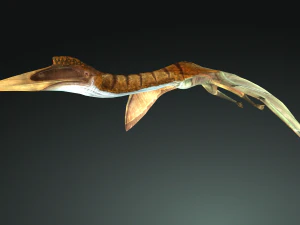 DOWNLOAD QUETZALCOATLUS 3D MODEL ANIMATED DINOSAUR DINOSAUR BIRD TERROR RAPTOR PREDATOR SKY 3D Model