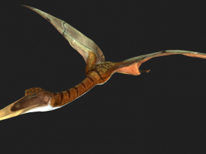DOWNLOAD QUETZALCOATLUS 3D MODEL ANIMATED DINOSAUR DINOSAUR BIRD TERROR RAPTOR PREDATOR SKY 3D Model