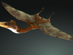 DOWNLOAD QUETZALCOATLUS 3D MODEL ANIMATED DINOSAUR DINOSAUR BIRD TERROR RAPTOR PREDATOR SKY 3D Model