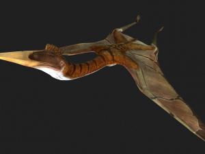 DOWNLOAD QUETZALCOATLUS 3D MODEL ANIMATED DINOSAUR DINOSAUR BIRD TERROR RAPTOR PREDATOR SKY 3D Model