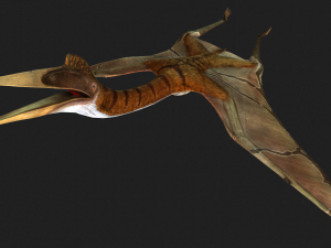 DOWNLOAD QUETZALCOATLUS 3D MODEL ANIMATED DINOSAUR DINOSAUR BIRD TERROR RAPTOR PREDATOR SKY 3D Model