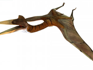 DOWNLOAD QUETZALCOATLUS 3D MODEL ANIMATED DINOSAUR DINOSAUR BIRD TERROR RAPTOR PREDATOR SKY 3D Model
