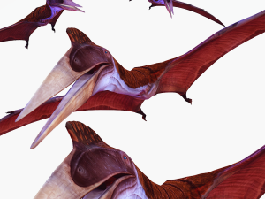 DOWNLOAD QUETZALCOATLUS 3D MODEL ANIMATED DINOSAUR DINOSAUR BIRD TERROR RAPTOR PREDATOR SKY 3D Model