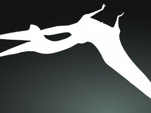 DOWNLOAD QUETZALCOATLUS 3D MODEL ANIMATED DINOSAUR DINOSAUR BIRD TERROR RAPTOR PREDATOR SKY 3D Model
