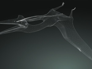 DOWNLOAD QUETZALCOATLUS 3D MODEL ANIMATED DINOSAUR DINOSAUR BIRD TERROR RAPTOR PREDATOR SKY 3D Model