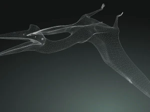 DOWNLOAD QUETZALCOATLUS 3D MODEL ANIMATED DINOSAUR DINOSAUR BIRD TERROR RAPTOR PREDATOR SKY 3D Model
