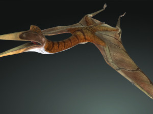 DOWNLOAD QUETZALCOATLUS 3D MODEL ANIMATED DINOSAUR DINOSAUR BIRD TERROR RAPTOR PREDATOR SKY 3D Model