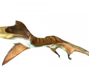 DOWNLOAD QUETZALCOATLUS 3D MODEL ANIMATED DINOSAUR DINOSAUR BIRD TERROR RAPTOR PREDATOR SKY 3D Model