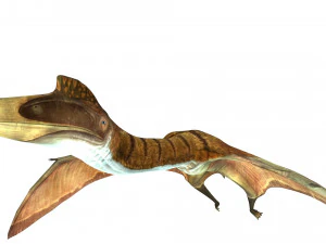 DOWNLOAD QUETZALCOATLUS 3D MODEL ANIMATED DINOSAUR DINOSAUR BIRD TERROR RAPTOR PREDATOR SKY 3D Model
