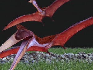 DOWNLOAD QUETZALCOATLUS 3D MODEL ANIMATED DINOSAUR DINOSAUR BIRD TERROR RAPTOR PREDATOR SKY 3D Model