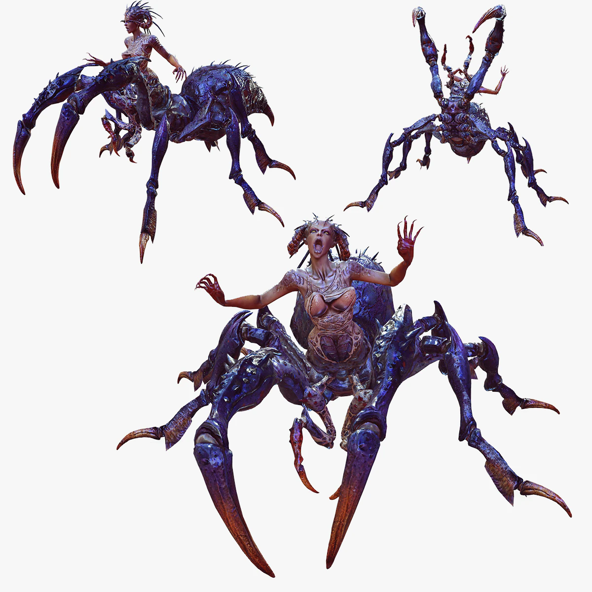 SPIDER QUEEN SPIDER ARACHNID SPIDER 3D MODEL 3D Model .c4d .max .obj .3ds .fbx .stl .blend 