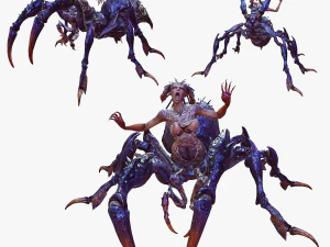 ARA&ntilde;A REINA ARA&ntilde;A AR&Aacute;CNIDO ARA&ntilde;A 3D MODELO Modelo 3D