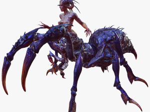 SPIDER QUEEN SPIDER ARACHNID SPIDER 3D MODEL 3D Model