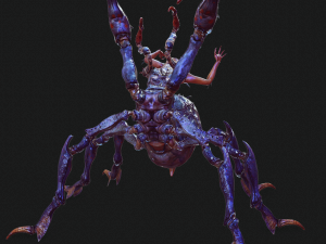 SPIDER QUEEN SPIDER ARACHNID SPIDER 3D MODEL 3D Model