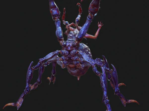 SPIDER QUEEN SPIDER ARACHNID SPIDER 3D MODEL 3D Model