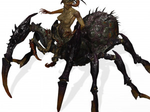 SPIDER QUEEN SPIDER ARACHNID SPIDER 3D MODEL 3D Model