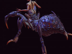 SPIDER QUEEN SPIDER ARACHNID SPIDER 3D MODEL 3D Model