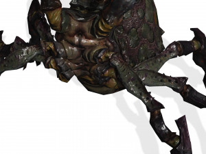 SPIDER QUEEN SPIDER ARACHNID SPIDER 3D MODEL 3D Model