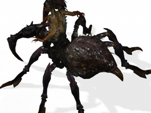 SPIDER QUEEN SPIDER ARACHNID SPIDER 3D MODEL 3D Model