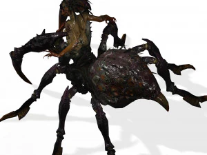 SPIDER QUEEN SPIDER ARACHNID SPIDER 3D MODEL 3D Model