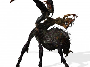 SPIDER QUEEN SPIDER ARACHNID SPIDER 3D MODEL 3D Model