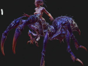 SPIDER QUEEN SPIDER ARACHNID SPIDER 3D MODEL 3D Model