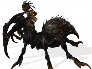 SPIDER QUEEN SPIDER ARACHNID SPIDER 3D MODEL 3D Model