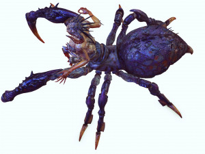 SPIDER QUEEN SPIDER ARACHNID SPIDER 3D MODEL 3D Model