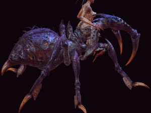 SPIDER QUEEN SPIDER ARACHNID SPIDER 3D MODEL 3D Model