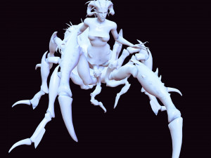 SPIDER QUEEN SPIDER ARACHNID SPIDER 3D MODEL 3D Model