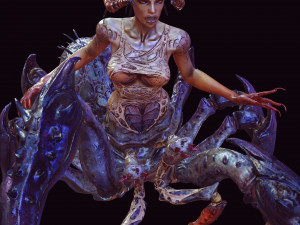 SPIDER QUEEN SPIDER ARACHNID SPIDER 3D MODEL 3D Model