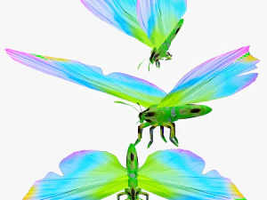 BUTTERFLY 3D Model