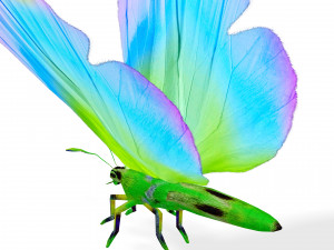 BUTTERFLY 3D Модель