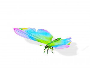 BUTTERFLY 3D Модель