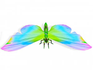 BUTTERFLY 3D Model