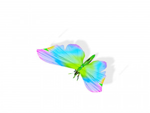 BUTTERFLY 3D Модель