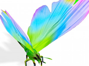 BUTTERFLY 3D Модель