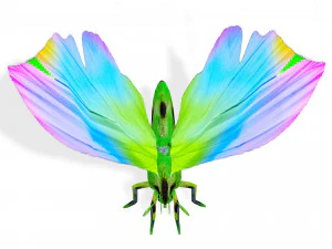 BUTTERFLY 3D Model