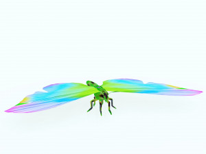 BUTTERFLY 3D Модель