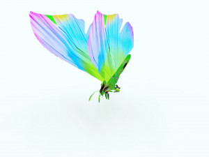 BUTTERFLY 3D Модель