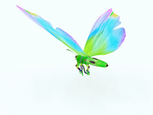 BUTTERFLY 3D Модель