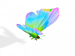 BUTTERFLY 3D Модель