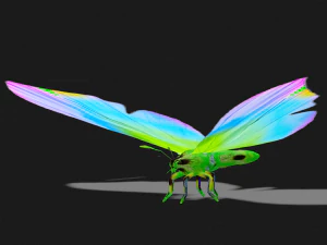 BUTTERFLY 3D Model