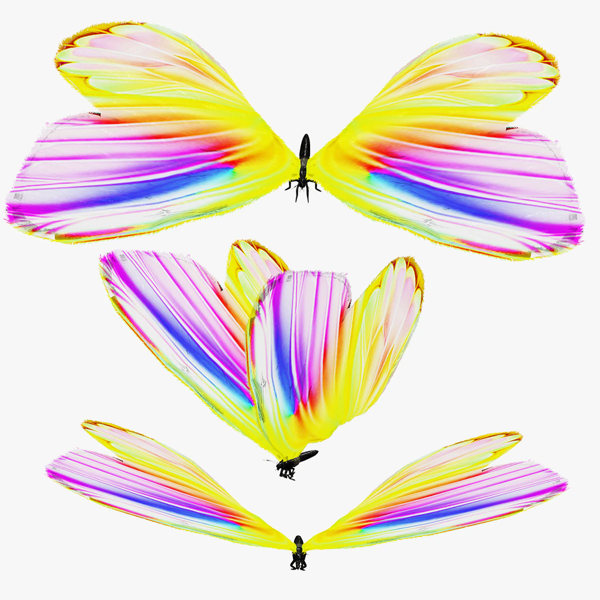 DOWNLOAD BUTTERFLY 3D MODEL 3D Model .c4d .max .obj .3ds .fbx .stl .blend 